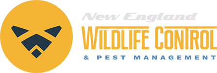 New England Wildlife Control logo horizontal