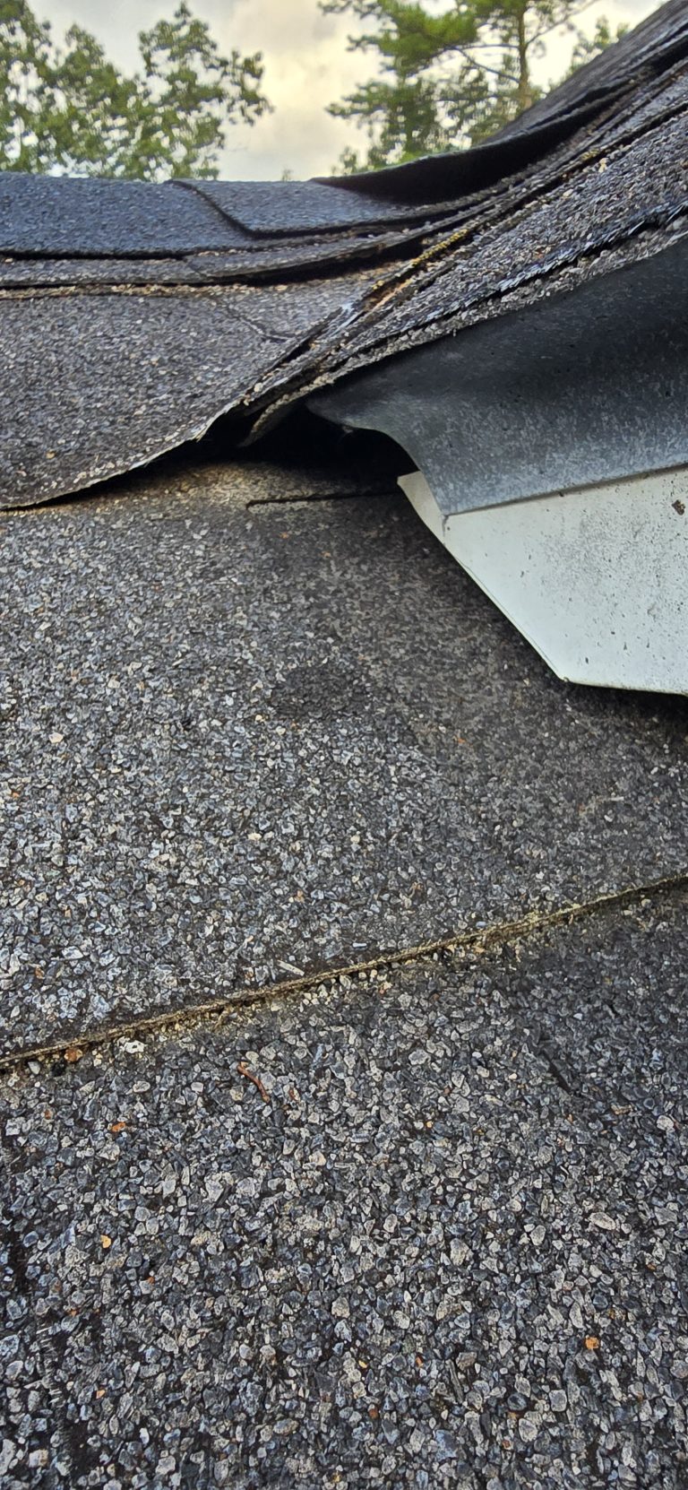 Entry point for bats on roof in Atkinson NH